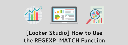 [Looker Studio] How to Use the REGEXP_MATCH Function and Practical Examples | Calculated Fields